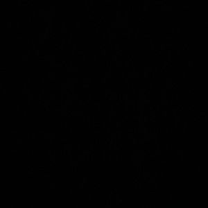 Meet your Posher, Maximus